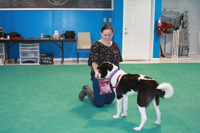 Deepwood Veterinary Clinic