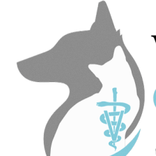 Veterinary Outpatient Surgical Center