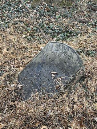 Taliaferro/Carter Family Cemetery
