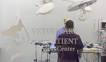 Veterinary Outpatient Surgical Center