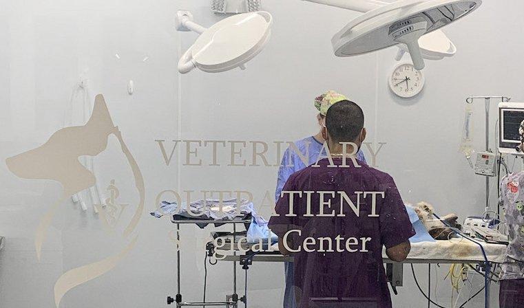 Veterinary Outpatient Surgical Center