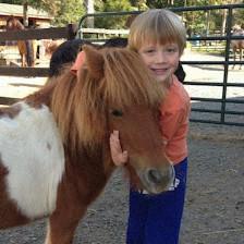 Mulford Riding School