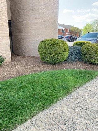 ADAC Landscaping Services llc