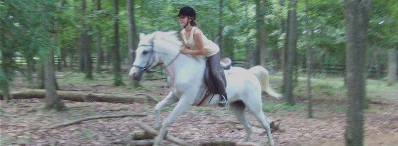 Mulford Riding School