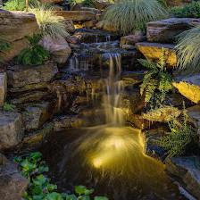 The Art of Landscape
