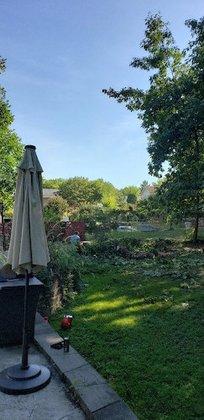 Precision Tree Service Centreville
