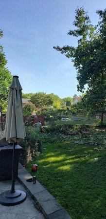 Precision Tree Service Centreville