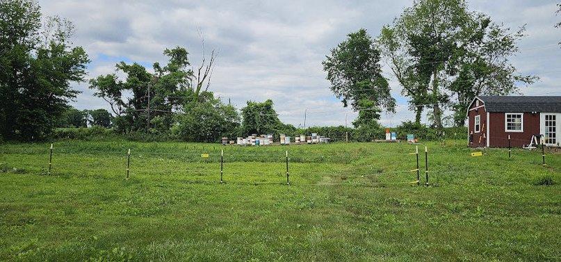 Ater's Apiary LLC