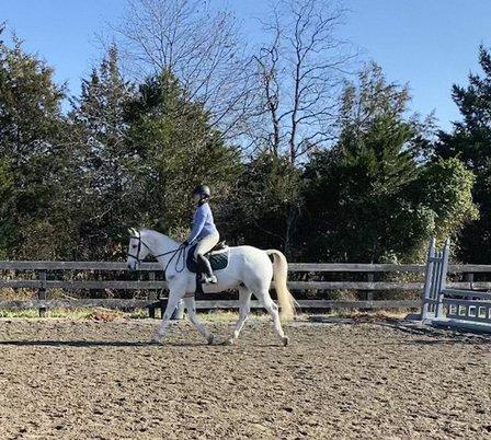 HMC Equestrian LLC