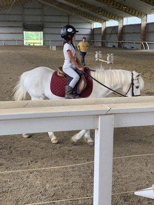 Bull Run Stables