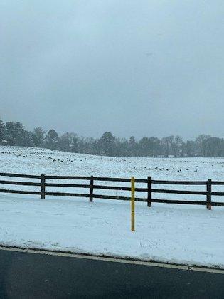 Stoneridge Farm