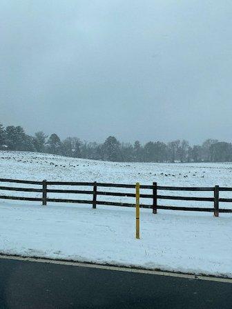Stoneridge Farm