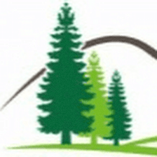 Piedmont Behavioral Services