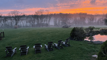 Double D Farm & Apiary