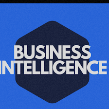 Business Intelligence LLC