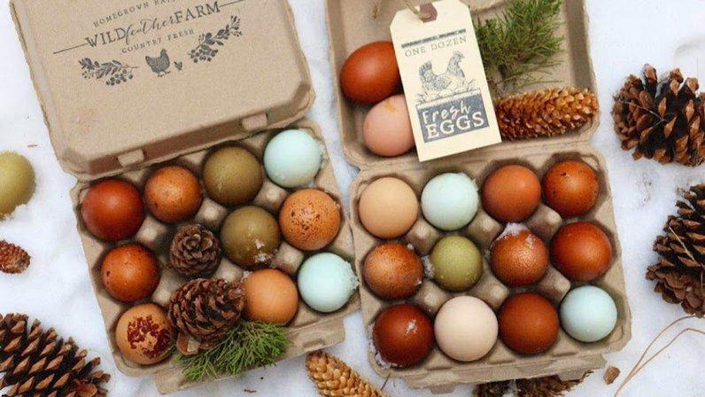 Happy Morning Farm
