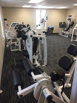 The Perfect Workout
