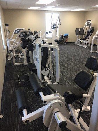 The Perfect Workout