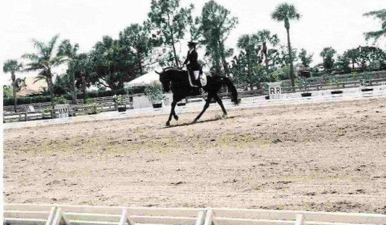 Venice Equestrian