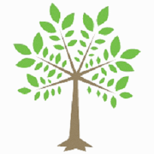 Lisa Krull, Leadership and Career Coach