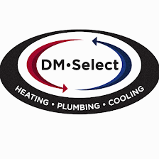 DM Services
