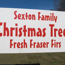 Sexton Christmas Trees