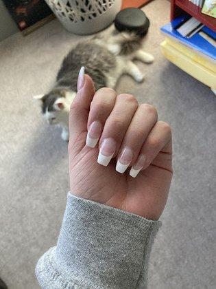 Amazing Nail & Day Spa Salon