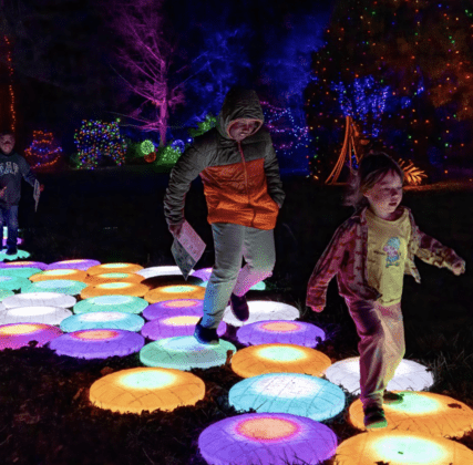 Winter Walk of Lights