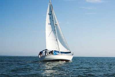 Summer Sailing Guide