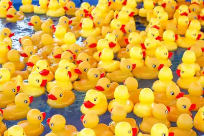 Occoquan’s Annual Duck Splash Offers Squeaky Clean Fun