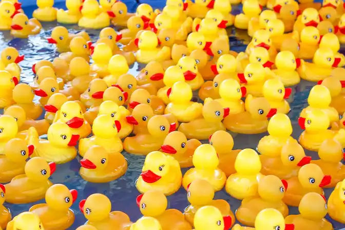 Occoquan’s Annual Duck Splash Offers Squeaky Clean Fun