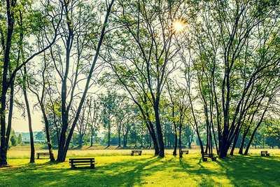 Lovely Walking Paths and Parks Across Northern Virginia